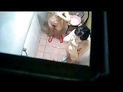 Luna amp; vrienden 483