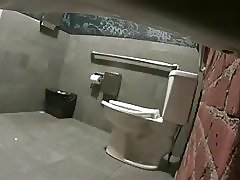 Sedan toilet voyeur door loyalsock