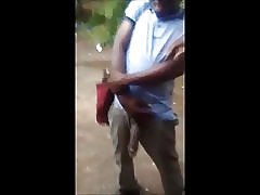 De Haan paard tonen voor sletten